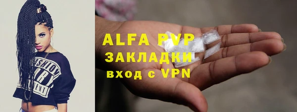 гидра Арсеньев