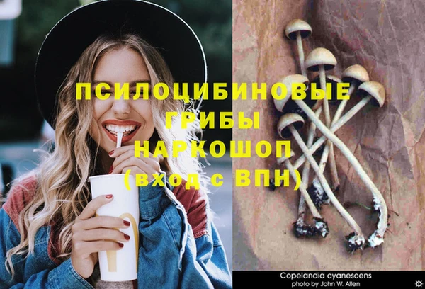 молекула духа Аркадак