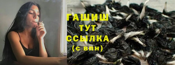 гидра Арсеньев
