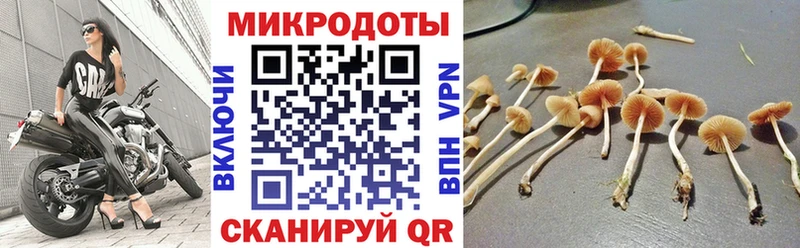 Галлюциногенные грибы Magic Shrooms как найти закладки Вяземский