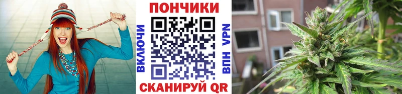 купить наркоту  Вяземский  KRAKEN как войти  Бошки Шишки THC 21% 